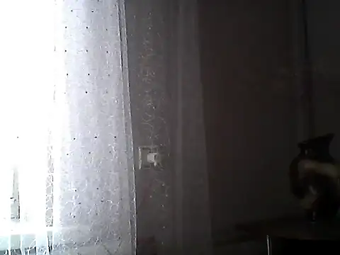 Littlecatme webcam