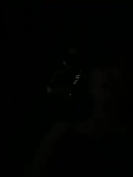 yourkeer live cam