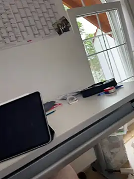 hannes256102 webcam