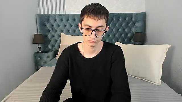 RonBevs webcam