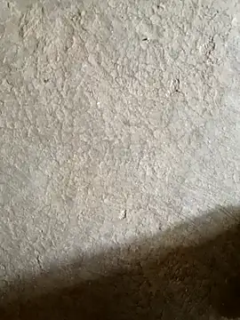 Jan_981 webcam
