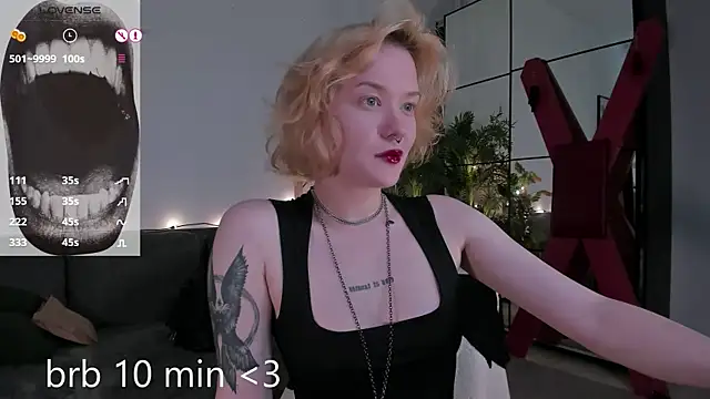 evathority webcam