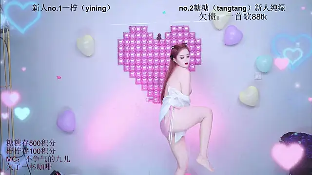 CCTW-100 webcam