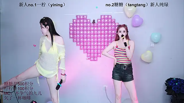 CCTW-100 webcam