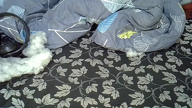 kwinda1523 webcam