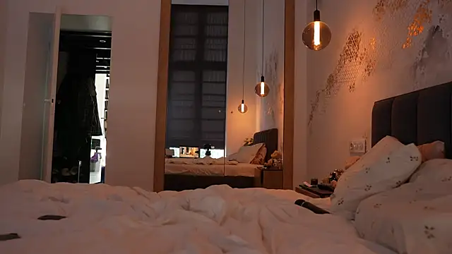 ibiddi webcam