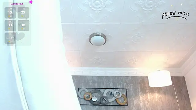 aria_li webcam