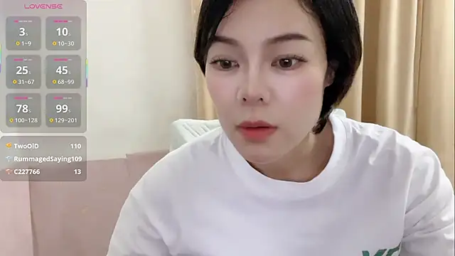 Linda-LL webcam