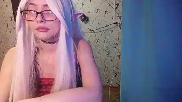 DelicaBrome webcam