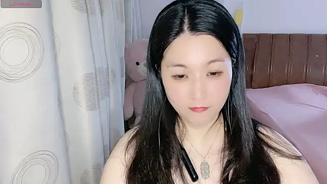 D-Misslu webcam