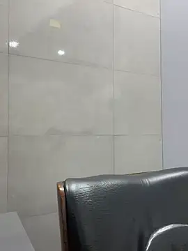 VBRAWN01 webcam