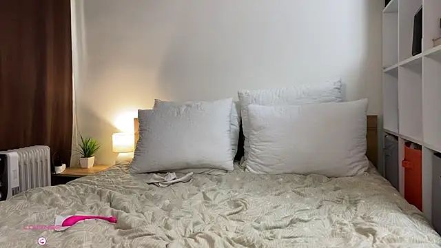 SunriseGuys webcam