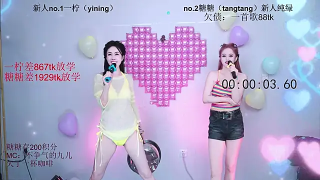 CCTW-100 webcam