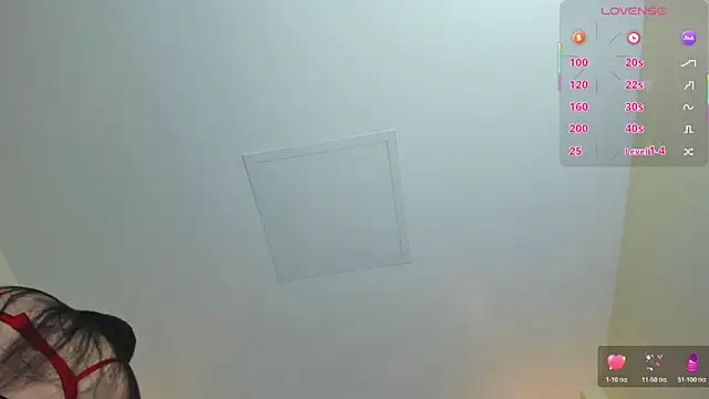 MAGIEVANS1 webcam