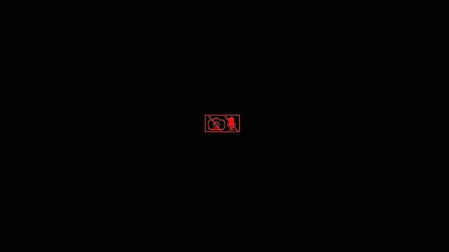 Hgay6935 webcam