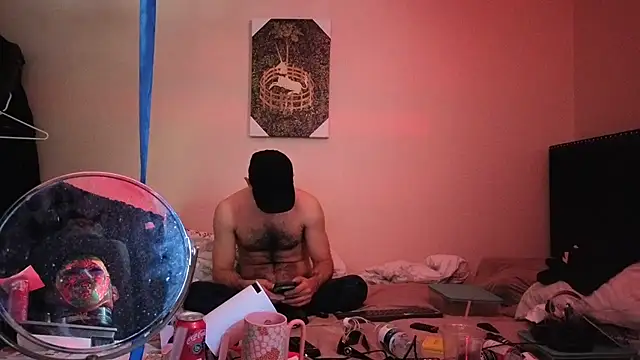 hailzeffn webcam