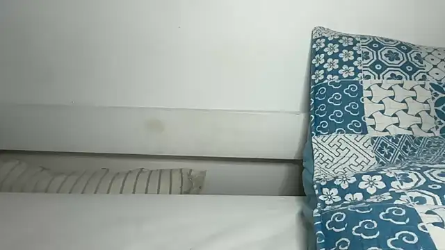 chelsea_strip webcam
