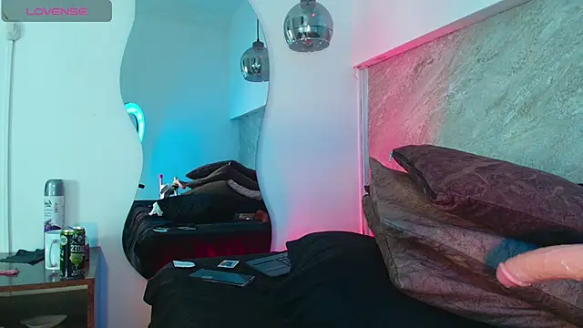 Dixie_grey1 webcam