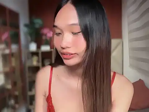 universal_cutie webcam