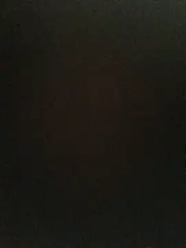 ShawnandDani7074 webcam