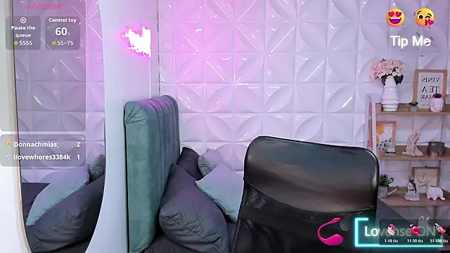 KassMonroe webcam