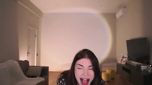 AdaBell webcam