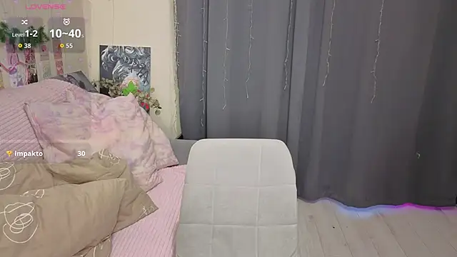 Kitty-Katty webcam
