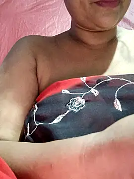 Gulapi_N webcam