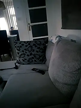 KnownObligation1 webcam