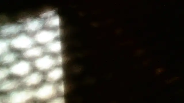 Gigadickman webcam