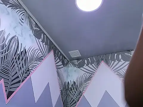 AuroraGreyy webcam