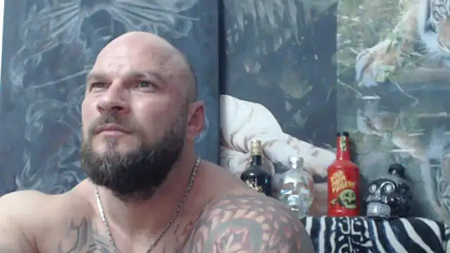 viking_30 live cam on StripChat