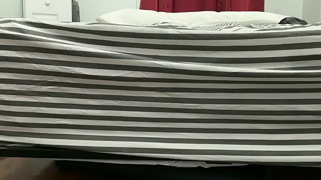 pantslesstraveler_plt