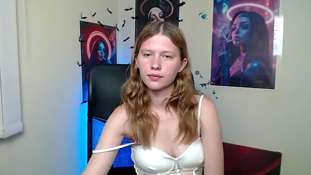 StellaCRL webcam