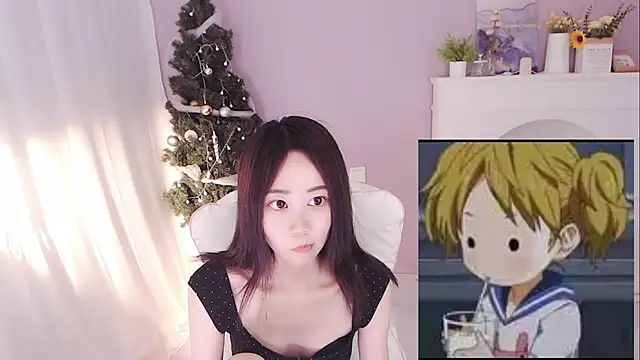 hall-33 webcam