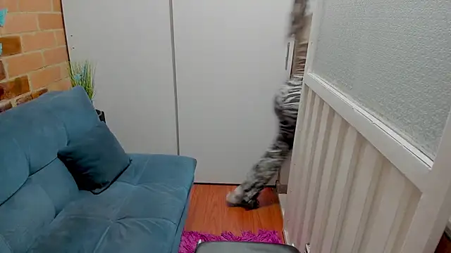 Penelope47 webcam