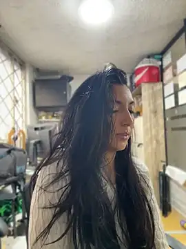 モデル: SALOME_KORLAND