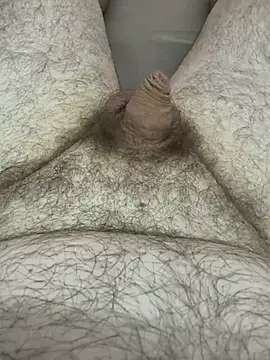 ilikeanalhehe webcam