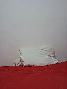 altinya webcam
