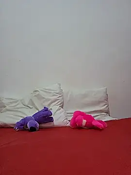 altinya webcam