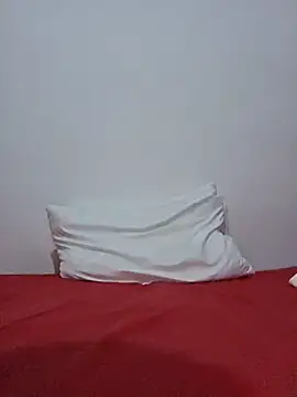 altinya webcam