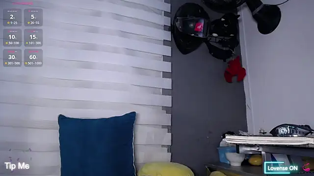 dirty_27cms webcam