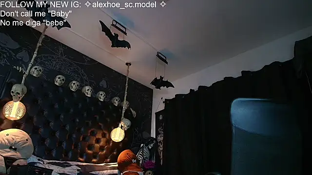 AlexHoe_ webcam