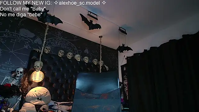 AlexHoe_ webcam