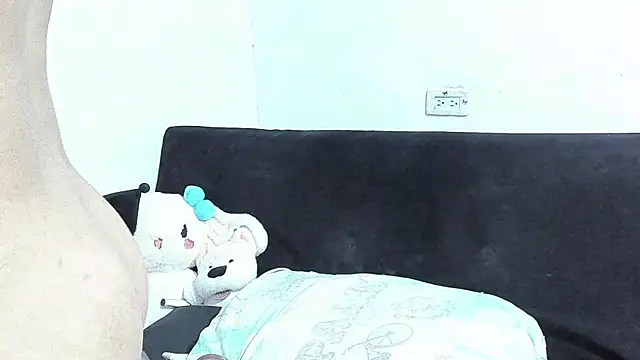 Eirlysx webcam