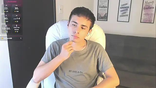 Nyko_ds webcam
