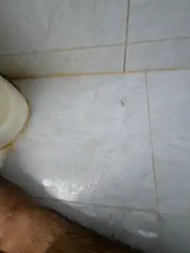 Assloverboy_2 webcam