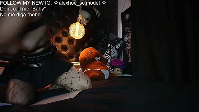 AlexHoe_ webcam