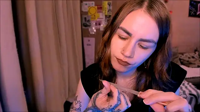 _selectrra webcam