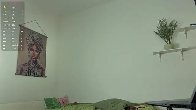 imadri webcam